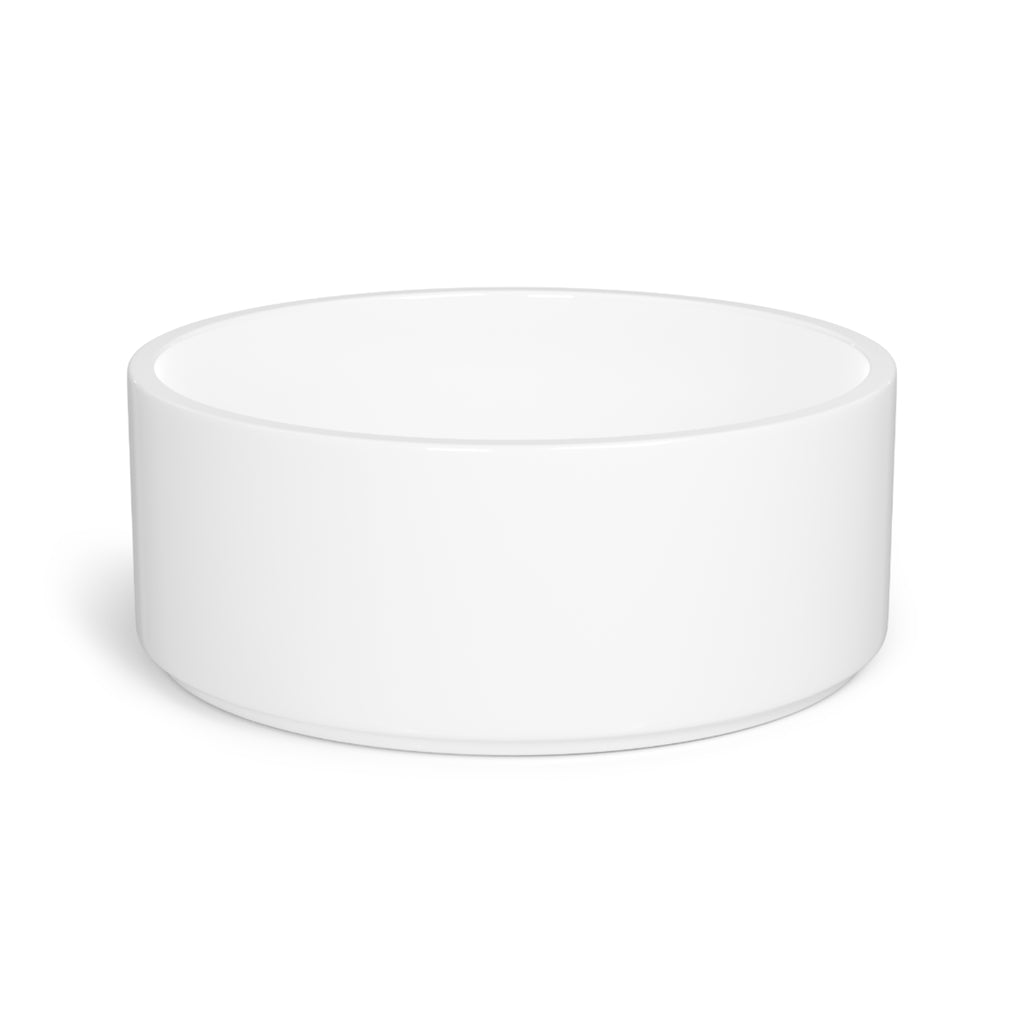 Aviator Pet Bowl — Travel Plane with Sunrise Dog & Cat Bowl
